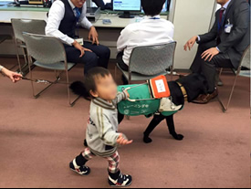 展示会場風景　盲導犬と幼児