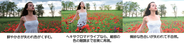 ヘキサクロマドライブイメージ画像と暗い映像、明るい映像の比較画像です